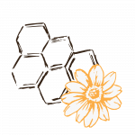Api-fiori-1